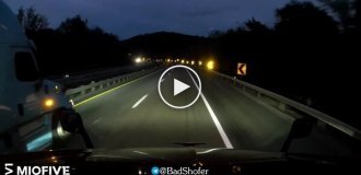 A deer on the road