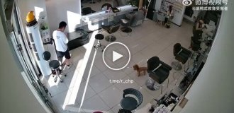Невдала спроба відремонтувати фен