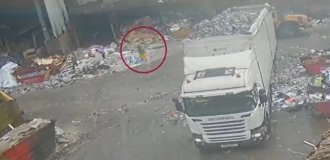 Мужчина оказался под колёсами погрузчика в свой первый рабочий день (3 фото + 1 видео)