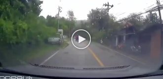 Туристи з Європи пограбували американця в Таїланді