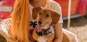 Dana Bounty - Girl of the Day