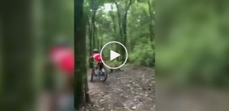 On a front wheel into a tree