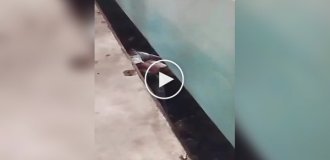 В Бангладеш отец прыгнул под поезд, чтоб спасти своего ребенка, упавшего на рельсы
