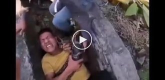 Curious tourists almost became victims of pythons in Vietnam