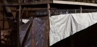 Американка тримала прийомну дочку у собачому вольєрі (3 фото + 1 відео)