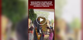 Слон на фестивалі в Індії підкинув чоловіка у повітря