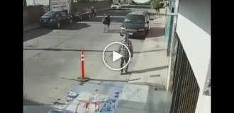 A bull fell out of the back of a truck and caused chaos on a street in Mexico