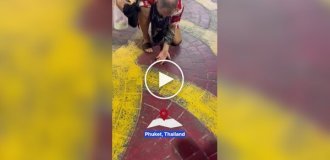Дівчина змахнула з незнайомця таргана, проте чоловік не оцінив її вчинок