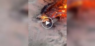 A crab walks along the beach and sees a fire burning