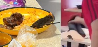 Пацюк упав зі стелі в тарілку до відвідувачки кафе (2 фото + 1 відео)