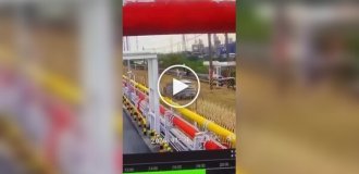 Ловець ігуан залишив без світла три нафтохімічних заводи