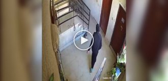 Карма сработала мгновенно: женщина пнула кота и тут же упала