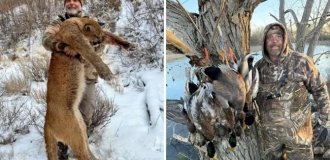 У ПАР буйвол убив мисливця за трофеями (6 фото)