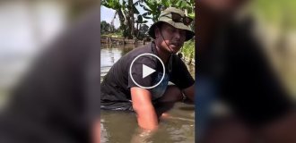 Гигантский змей вцепился в член индонезийского блогера, пока он снимал видео в реке