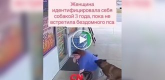 На жінку, що ідентифікує себе як собаку, напав справжній пес