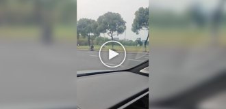 Лопаті ще оберталися, поки постраждалі намагалися вибратися з розбитого вертольота