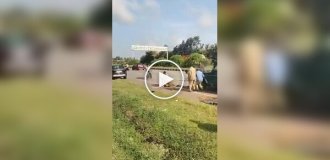 Леопард атаковал своего спасителя