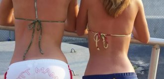 Vulgar funny photos