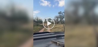 Тут не можна зменшувати швидкість ні на секунду