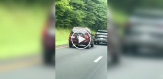 Що буває, якщо ти ідіот