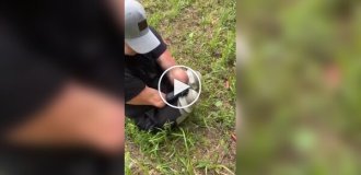A man without arms and legs is charged with murder