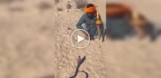 A snake charmer narrowly dodged a cobra attack during a performance