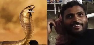 In India, a snake bit a man, and he bit her back three times (2 photos)