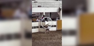 A horse bit and hit a cowboy at a competition in Texas