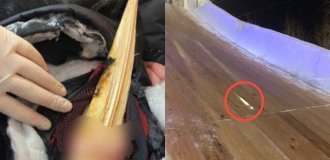 In the Sverdlovsk region, a teenager rolled down a wooden slide and found himself in trouble (6 photos)