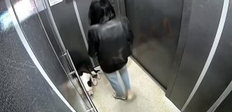 In Russia, a girl beat her dog in an elevator (2 photos + 1 video)