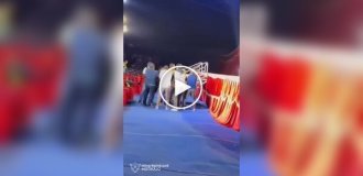 A failed circus stunt: men failed to catch the performer