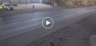 Ніщо не віщувало біди