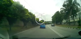 Досталось всем