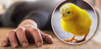 In India, a man swallowed a live chicken to cure infertility (2 photos)