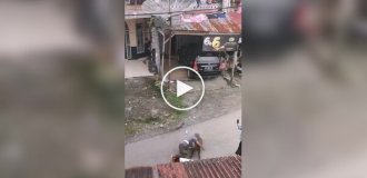 Boar attacked a man in Indonesia