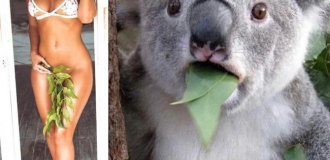 П'ятничні фото приколи з митом