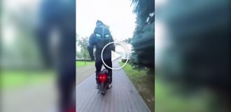 Unexpected encounter