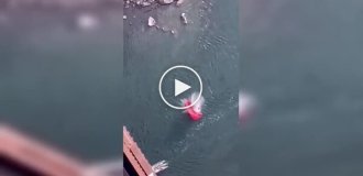 A parachute opened at the very last moment