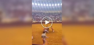A bull killed a young bullfighter during his first performance.
