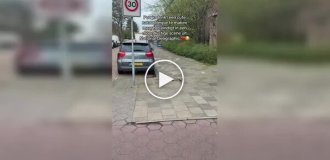 Когда природа вносит свои коррективы