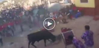 В Перу разъяренный бык сбежал во время корриды и устроил хаос в целом городе