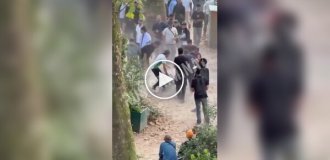 Массовая драка с палками и прутьями произошла в парижском квартале Ла-Шапель
