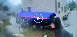 Strong wind nearly killed a dog