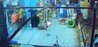 Корова влаштувала переполох у перукарні