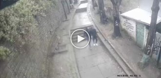 A huge tree branch fell on a guy during a walk