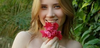 Delizi среди зелени