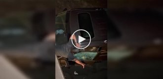 A bear climbed into a car for food and bit a man