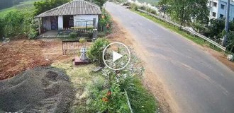 В Индии главное, чтобы коровы не пострадали