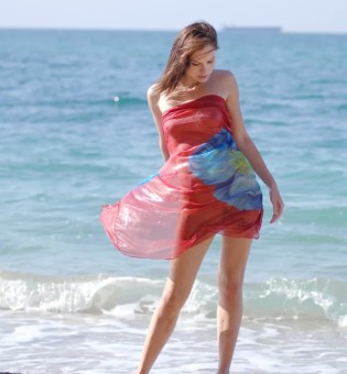Slender Ingret at the seaside