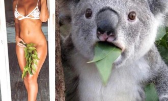 Friday photo jokes with a dirty twist